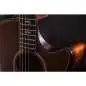 Taylor Builder's Edition 614ce WHB V-Class Model