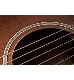 Taylor Builder s Edition 614ce WHB V-Class Model