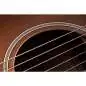 Taylor Builder's Edition 614ce WHB V-Class Model