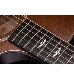 Taylor Builder s Edition 614ce WHB V-Class Model