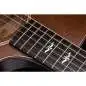 Taylor Builder's Edition 614ce WHB V-Class Model
