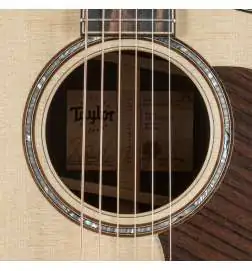 Taylor 814ce V-Class