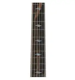 Taylor 814ce V-Class
