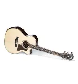 Taylor 814ce V-Class
