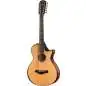 Taylor Builder's Edition 652ce Taylor Builder's Edition 652ce