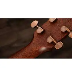 Taylor 722ce Gloss