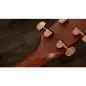 Taylor 722ce Gloss