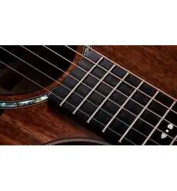 Taylor 722ce Gloss