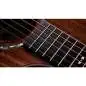 Taylor 722ce Gloss