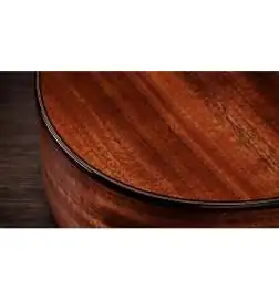 Taylor 722ce Gloss