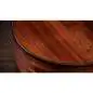 Taylor 722ce Gloss