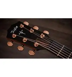 Taylor 722ce Gloss