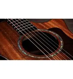 Taylor 722ce Gloss