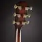 Taylor Builder's Edition K14ce Taylor Builder's Edition K14ce