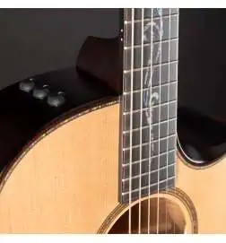Taylor Builder s Edition K14ce