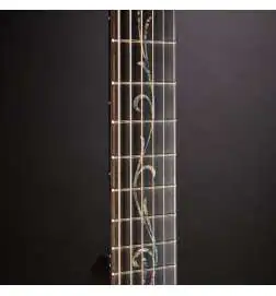 Taylor Builder s Edition K14ce