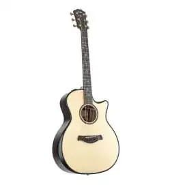 Taylor Builder s Edition 914ce Natural