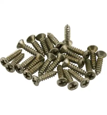 Fender Road Worn Pickguard Control Plate Screws 24 pc.