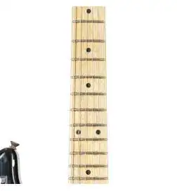 Fender Private Collection H.A.R. Stratocaster