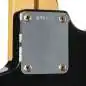 Fender Private Collection H.A.R. Stratocaster