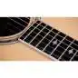 Taylor Legacy 810e