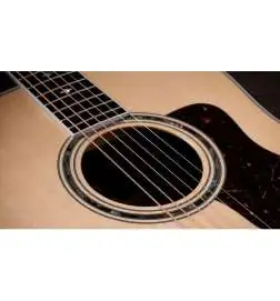 Taylor Legacy 810e