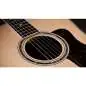 Taylor Legacy 810e