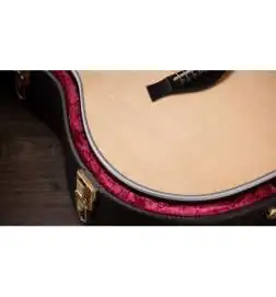 Taylor Legacy 810e