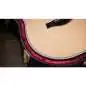Taylor Legacy 810e