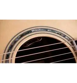 Taylor Legacy 810e