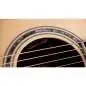 Taylor Legacy 810e