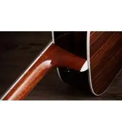 Taylor Legacy 810e