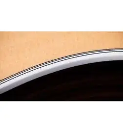 Taylor Legacy 810e