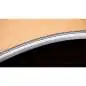 Taylor Legacy 810e