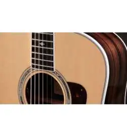 Taylor Legacy 810e