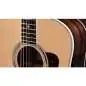 Taylor Legacy 810e