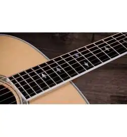 Taylor Legacy 810e