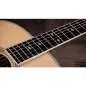 Taylor Legacy 810e