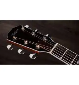 Taylor Legacy 810e