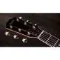 Taylor Legacy 810e