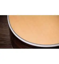 Taylor Legacy 810e