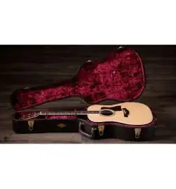 Taylor Legacy 810e