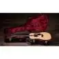 Taylor Legacy 810e