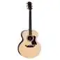 Taylor Legacy 815e