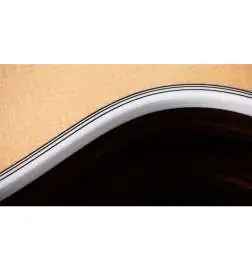 Taylor Legacy 815e