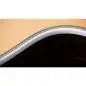 Taylor Legacy 815e