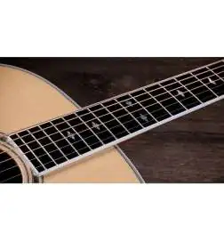 Taylor Legacy 815e