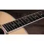 Taylor Legacy 815e