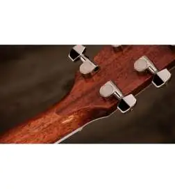 Taylor Legacy 815e