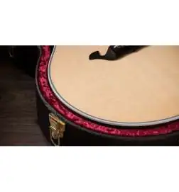 Taylor Legacy 815e